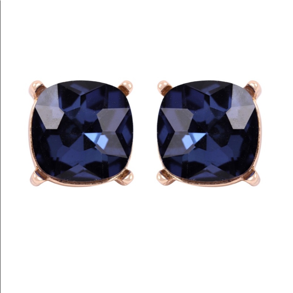 💕Montana Blue Stud Earrings💕